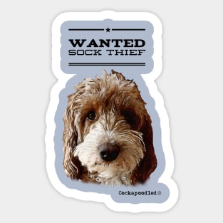 Cockapoo / Doodle Dog Sock Thief Sticker